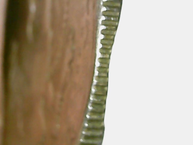 My-Beginner's-Macro-Camera-Stand-For-$12-On-Amazon---What-Do-You-Think?